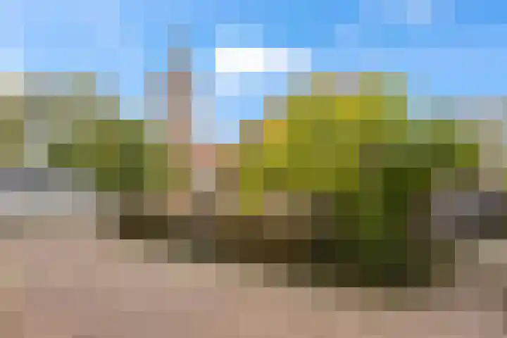 Lobbendijk 11 a Houten thumbnail 35