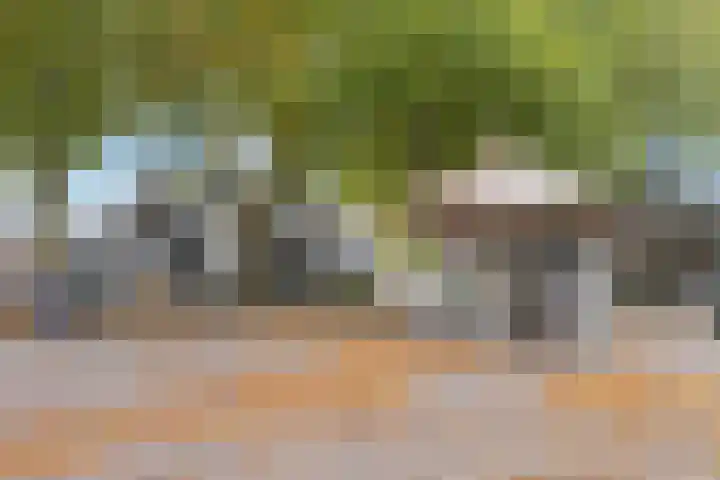 Lobbendijk 11 a Houten thumbnail 38