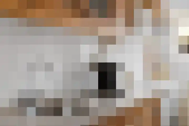 Lobbendijk 11 a Houten thumbnail 9