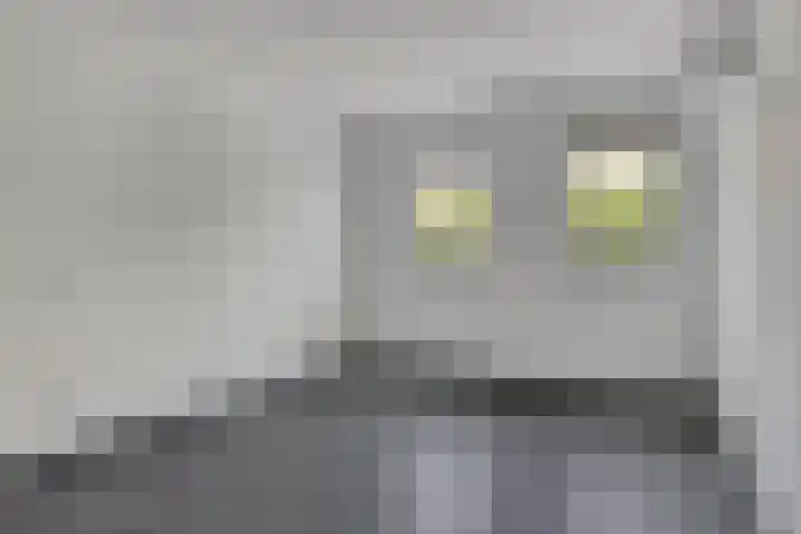 Lobbenhoeve 11 Helmond thumbnail 21