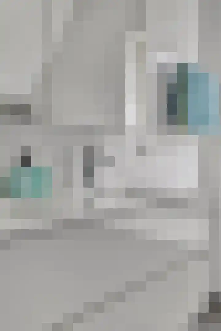 Lobbenhoeve 11 Helmond thumbnail 32