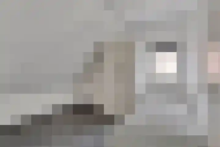Lobbenhoeve 11 Helmond thumbnail 35