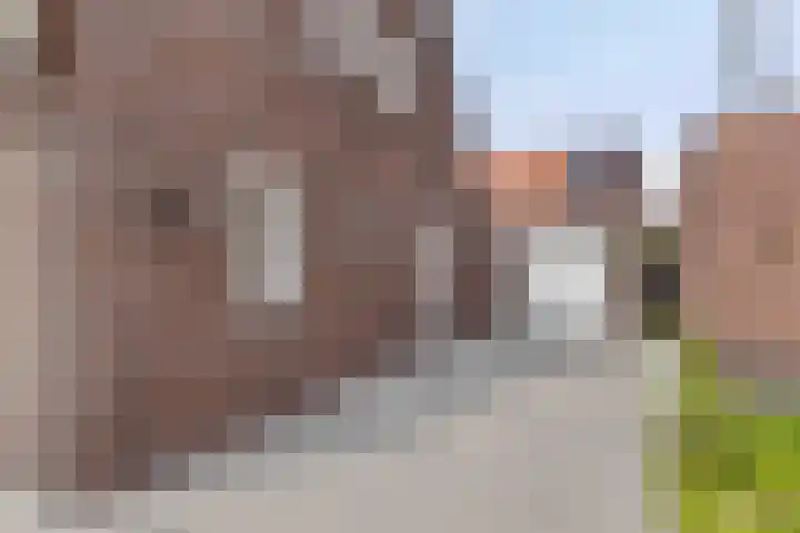 Lobbenhoeve 11 Helmond thumbnail 44