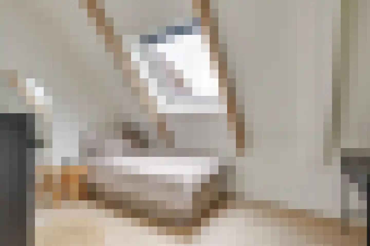 Lobbenhoeve 2 Helmond thumbnail 33