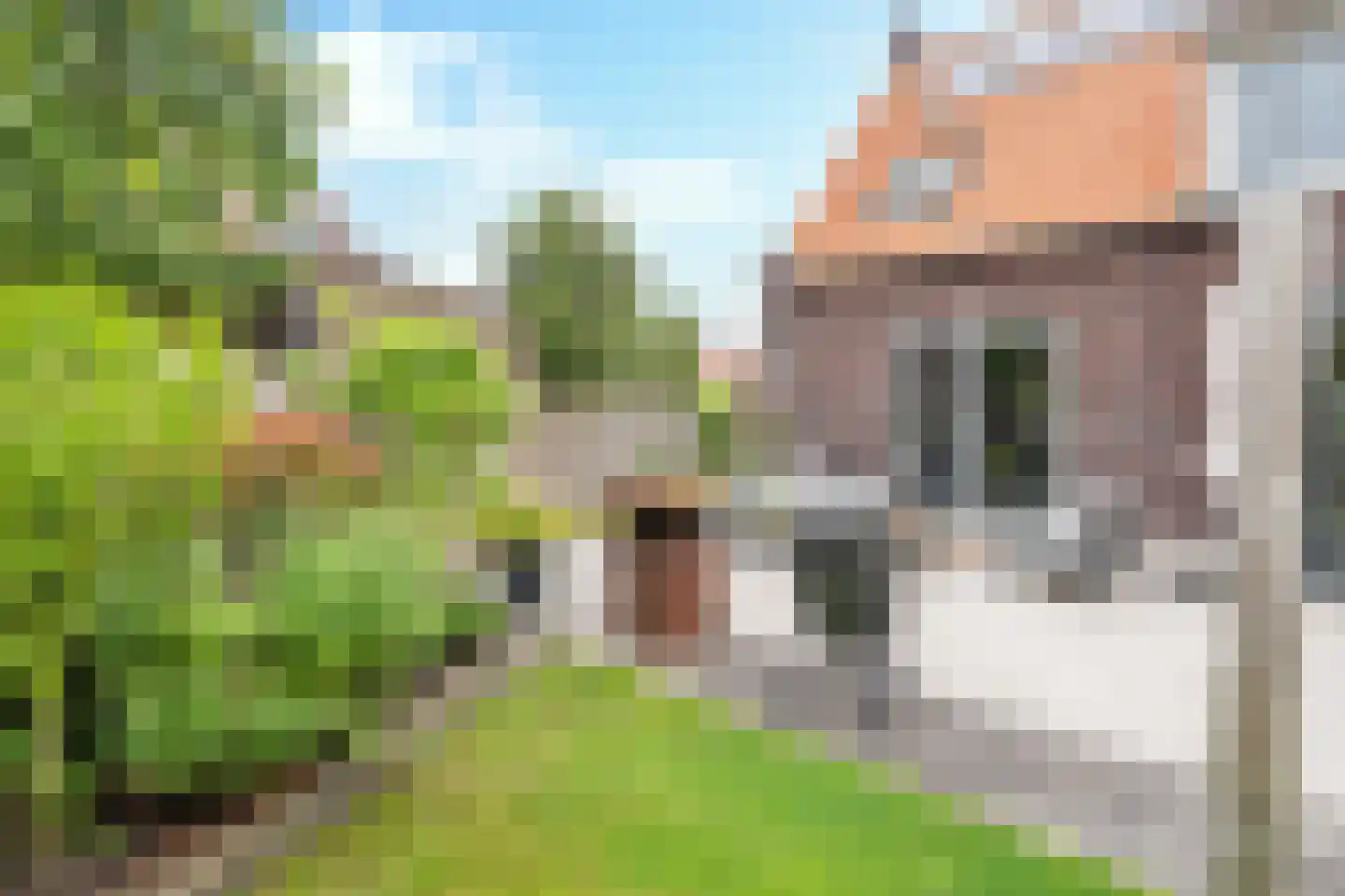 Lobbenhoeve 2 Helmond thumbnail 40