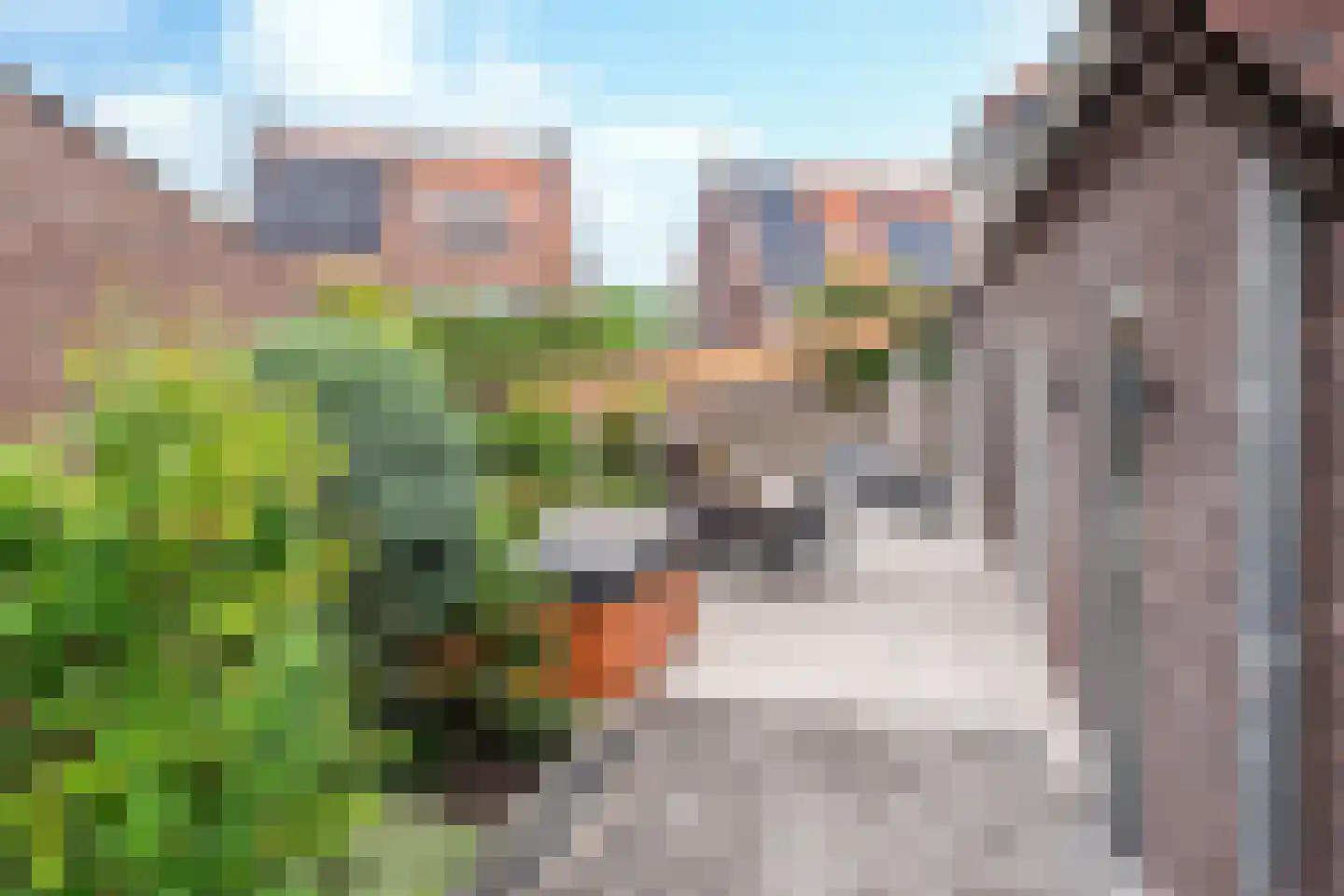 Lobbenhoeve 2 Helmond thumbnail 44