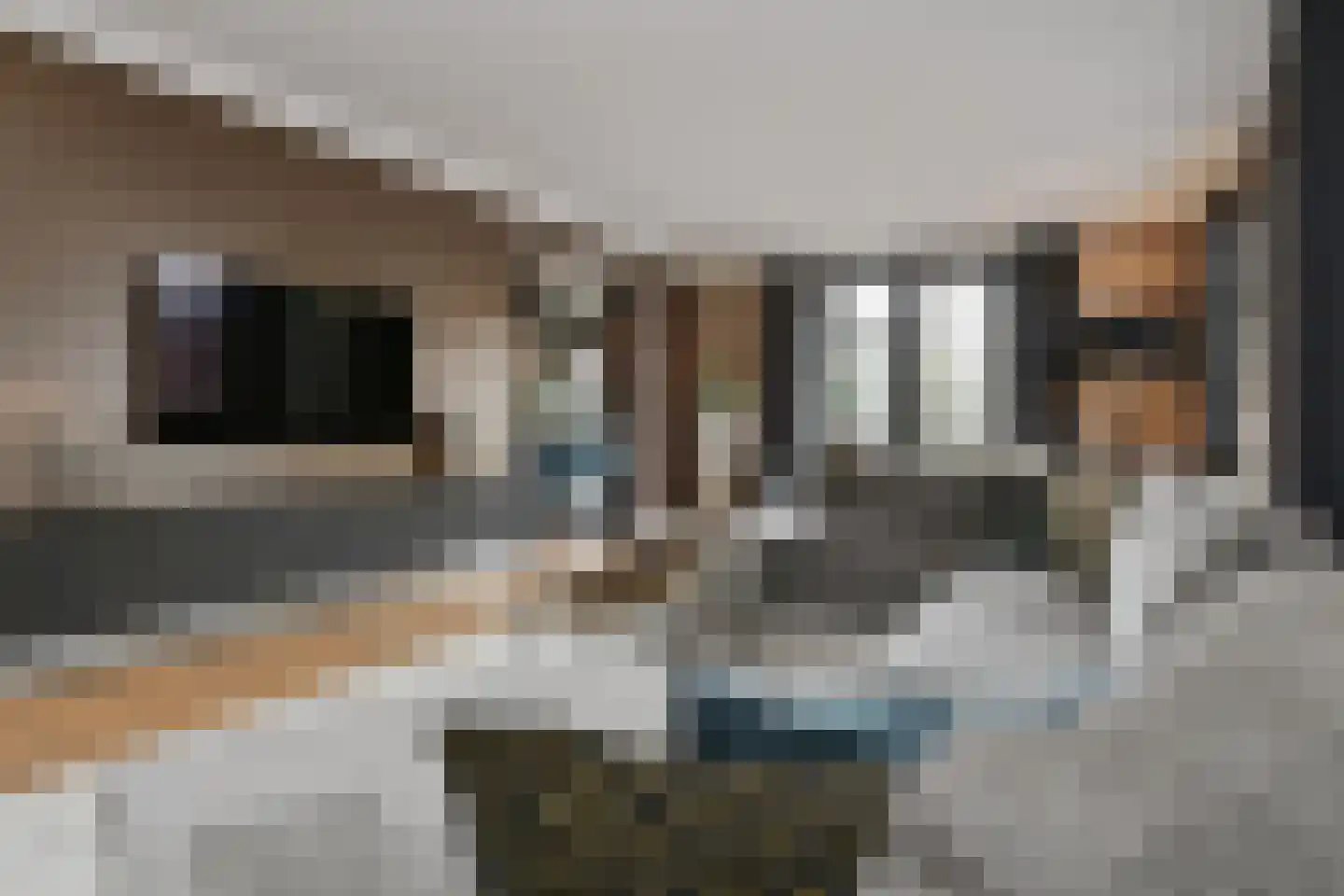 Lobbenhoeve 4 Helmond thumbnail 11