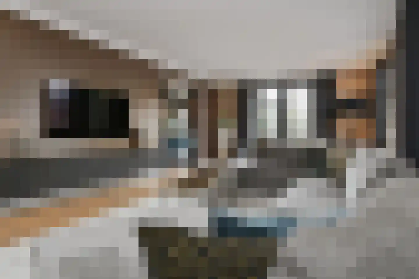 Lobbenhoeve 4 Helmond thumbnail 12