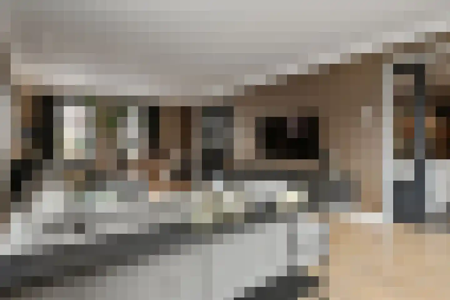 Lobbenhoeve 4 Helmond thumbnail 13