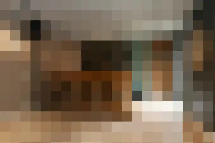 Lobbenhoeve 4 Helmond thumbnail 25