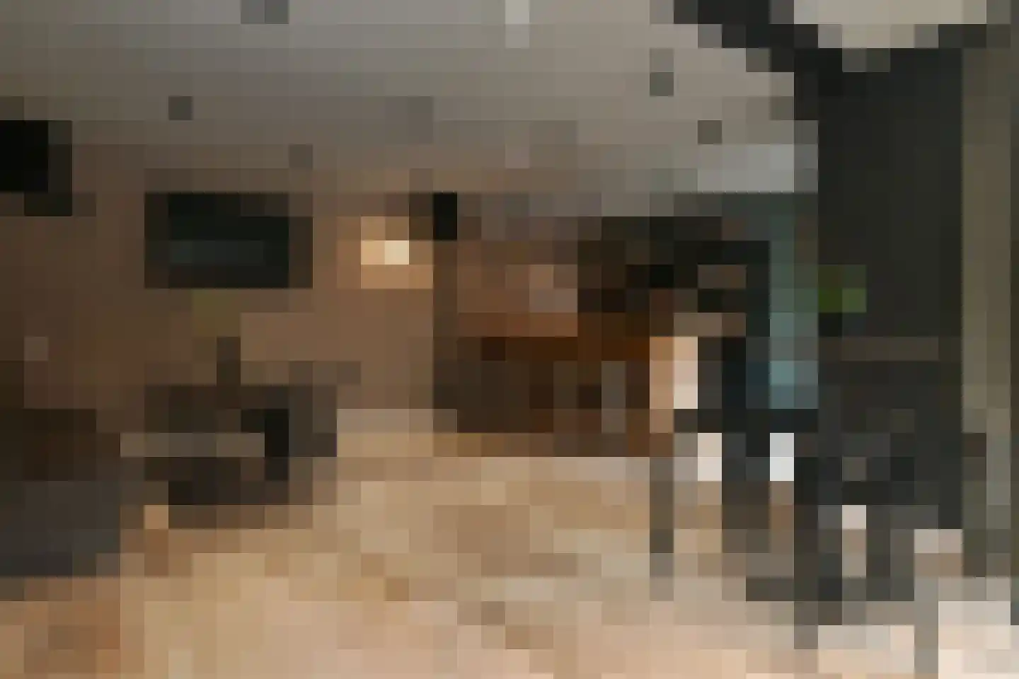 Lobbenhoeve 4 Helmond thumbnail 27
