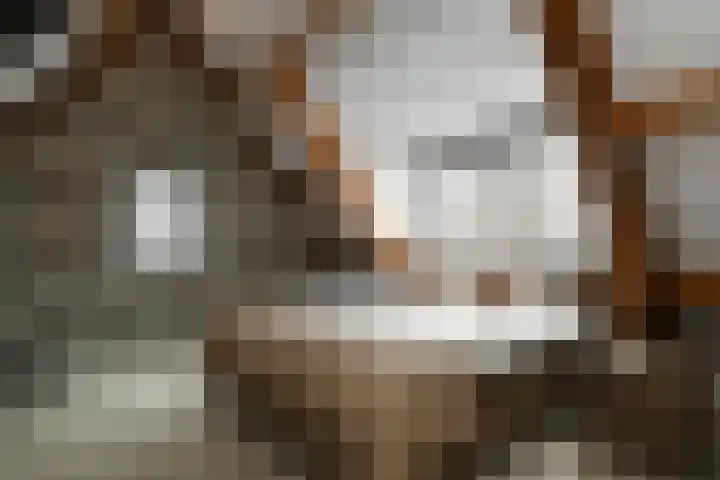 Lobbenhoeve 4 Helmond thumbnail 36