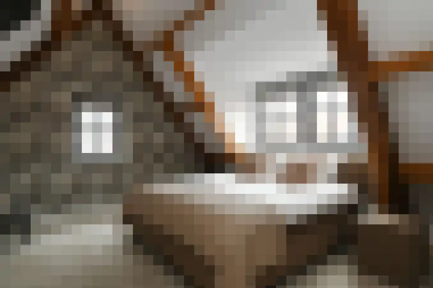 Lobbenhoeve 4 Helmond thumbnail 37