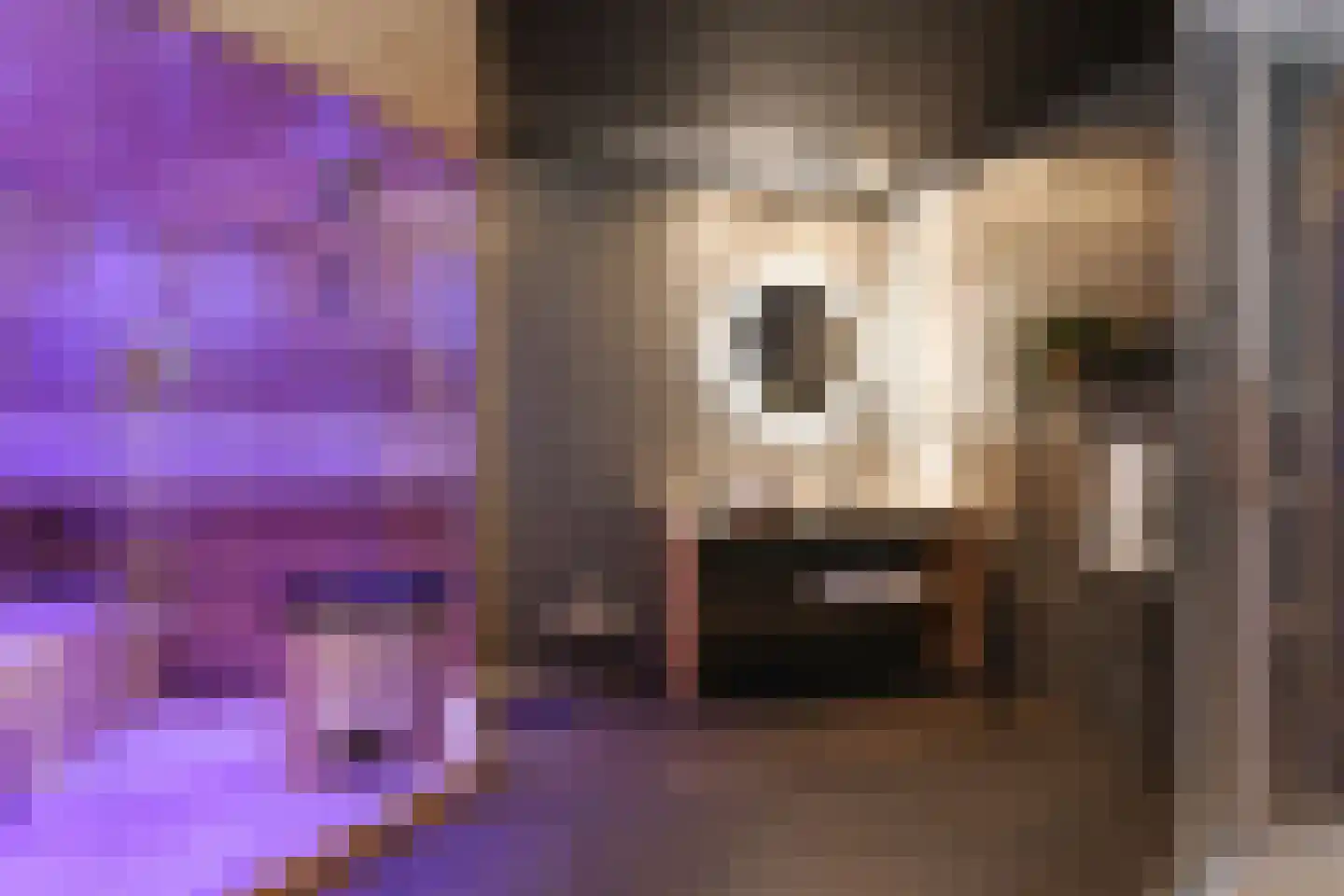Lobbenhoeve 4 Helmond thumbnail 4