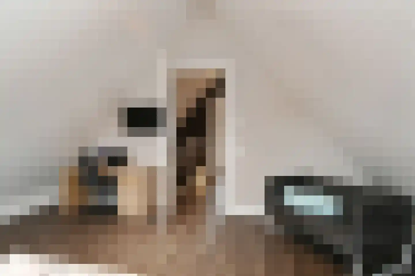 Lobbenhoeve 4 Helmond thumbnail 46