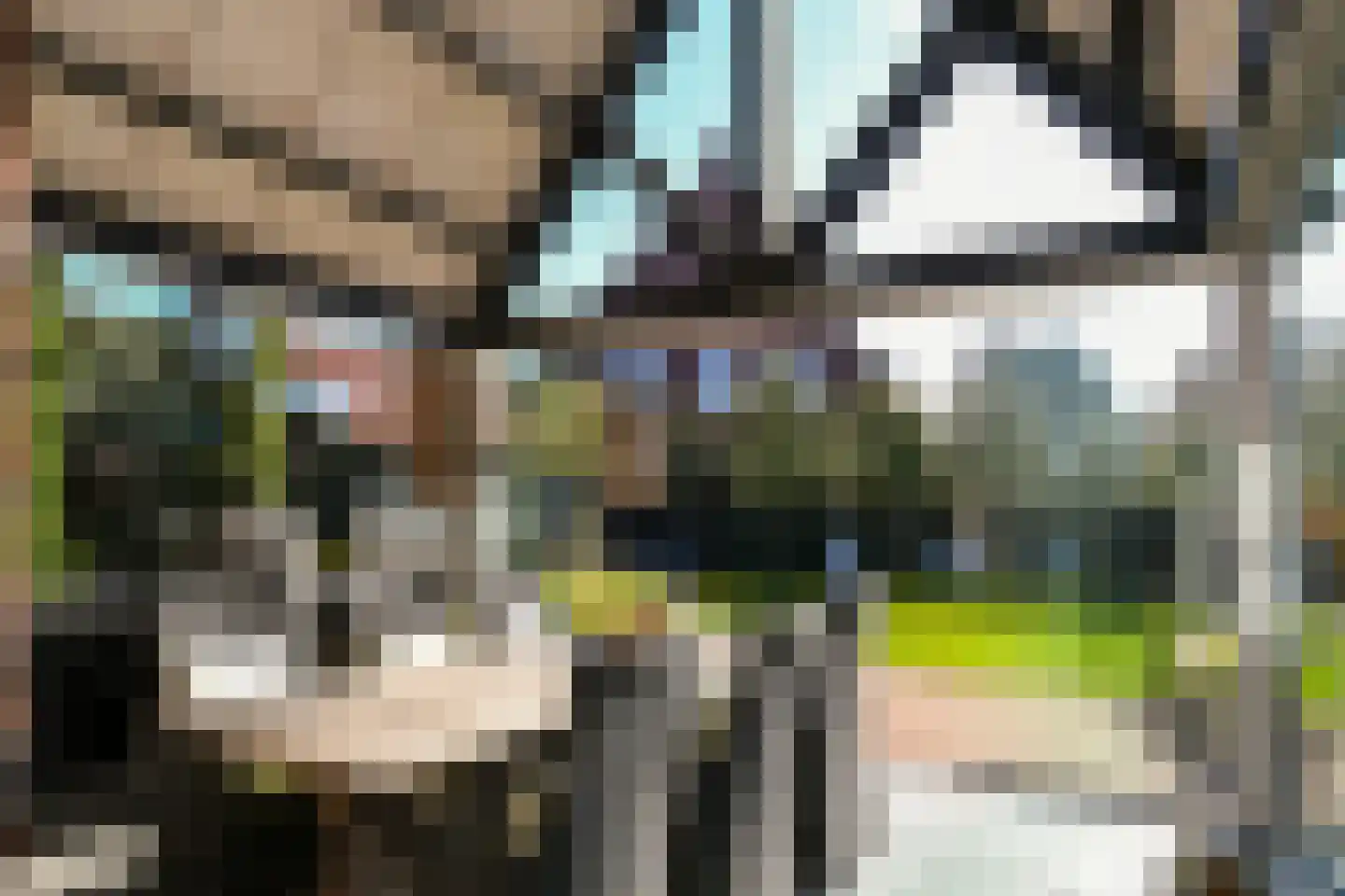 Lobbenhoeve 4 Helmond thumbnail 48