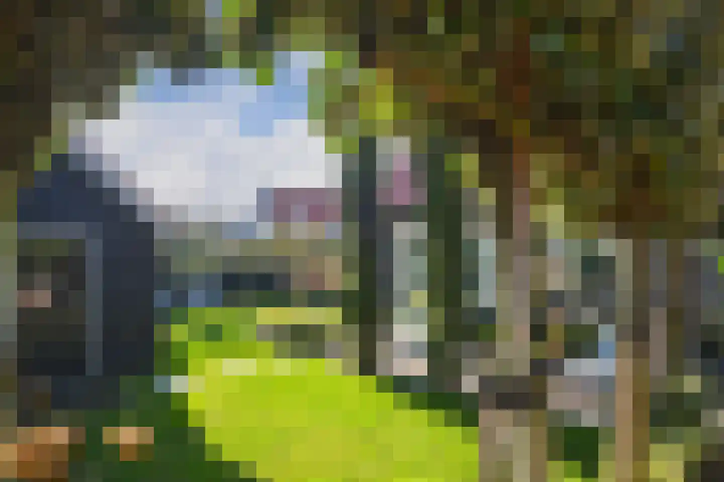 Lobbenhoeve 4 Helmond thumbnail 53