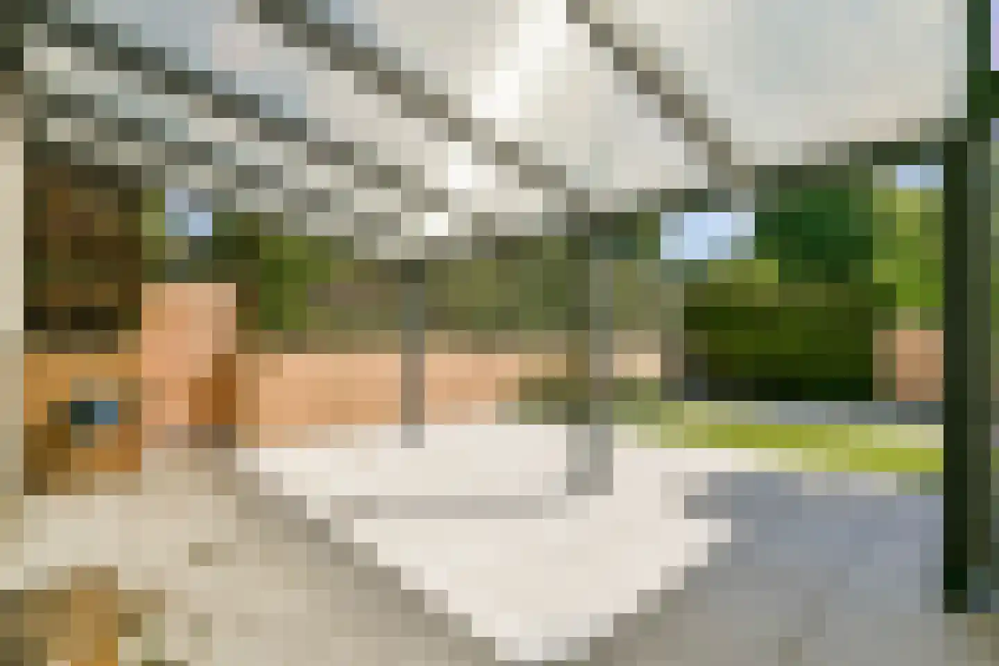 Lobbrich Boudgerslaan 33 Weesp thumbnail 9