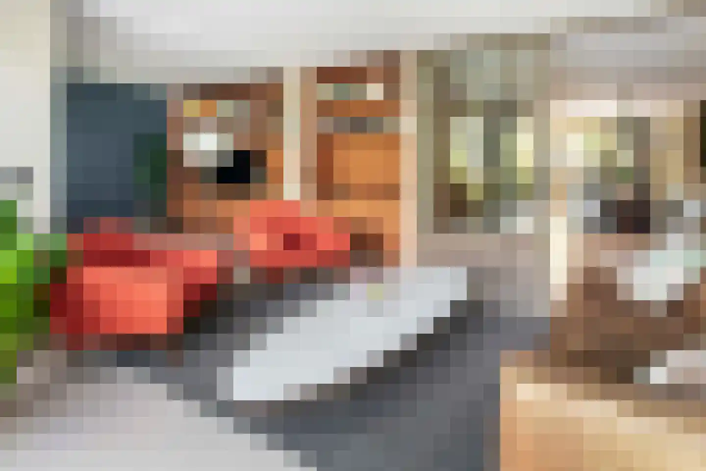 Lobbrich Boudgerslaan 37 Weesp thumbnail 21