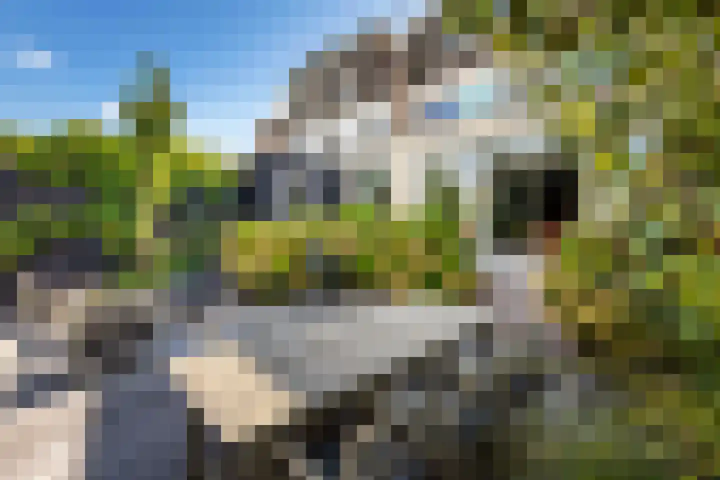 Lobbrich Boudgerslaan 37 Weesp thumbnail 30