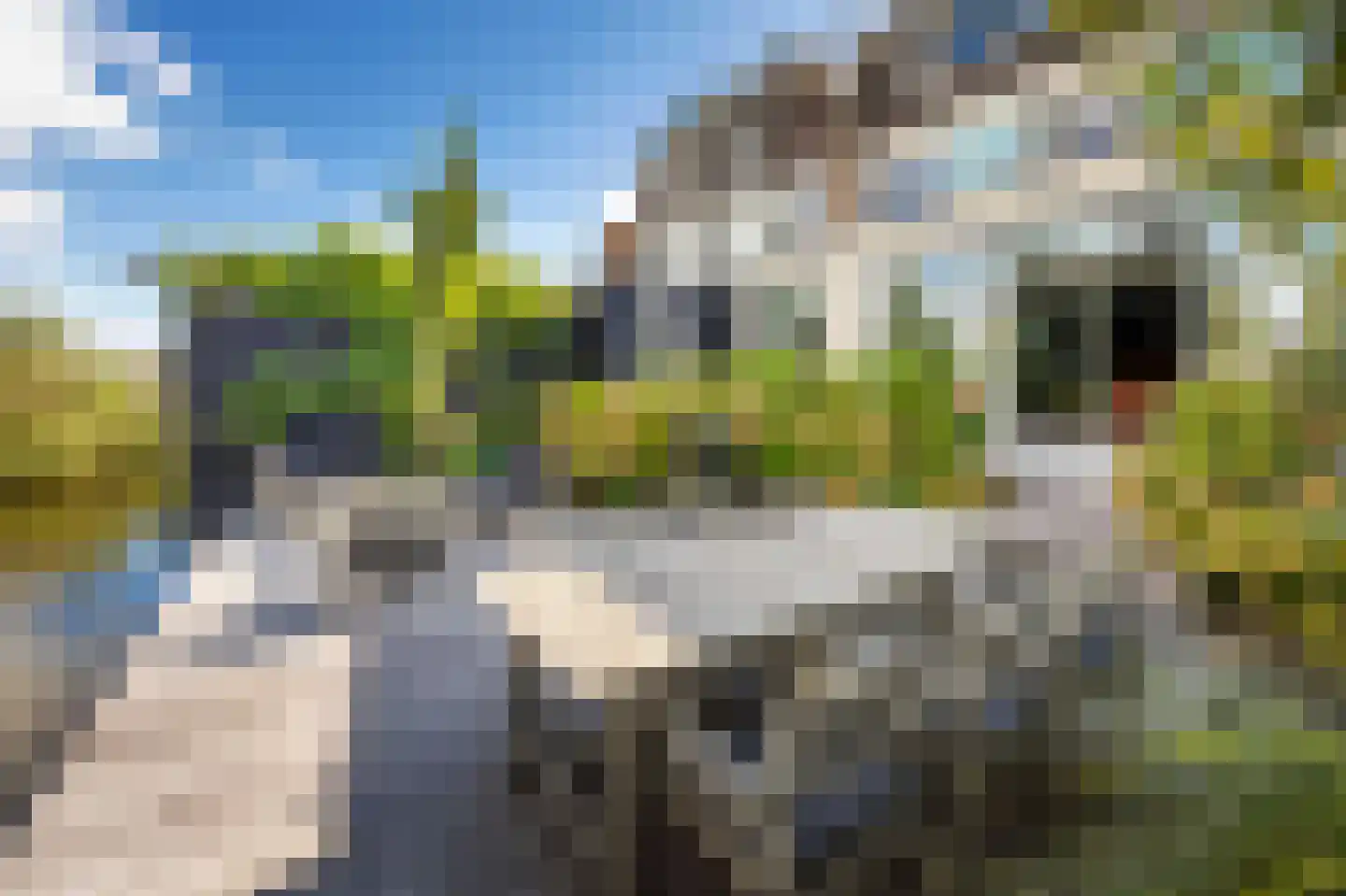 Lobbrich Boudgerslaan 37 Weesp thumbnail 31
