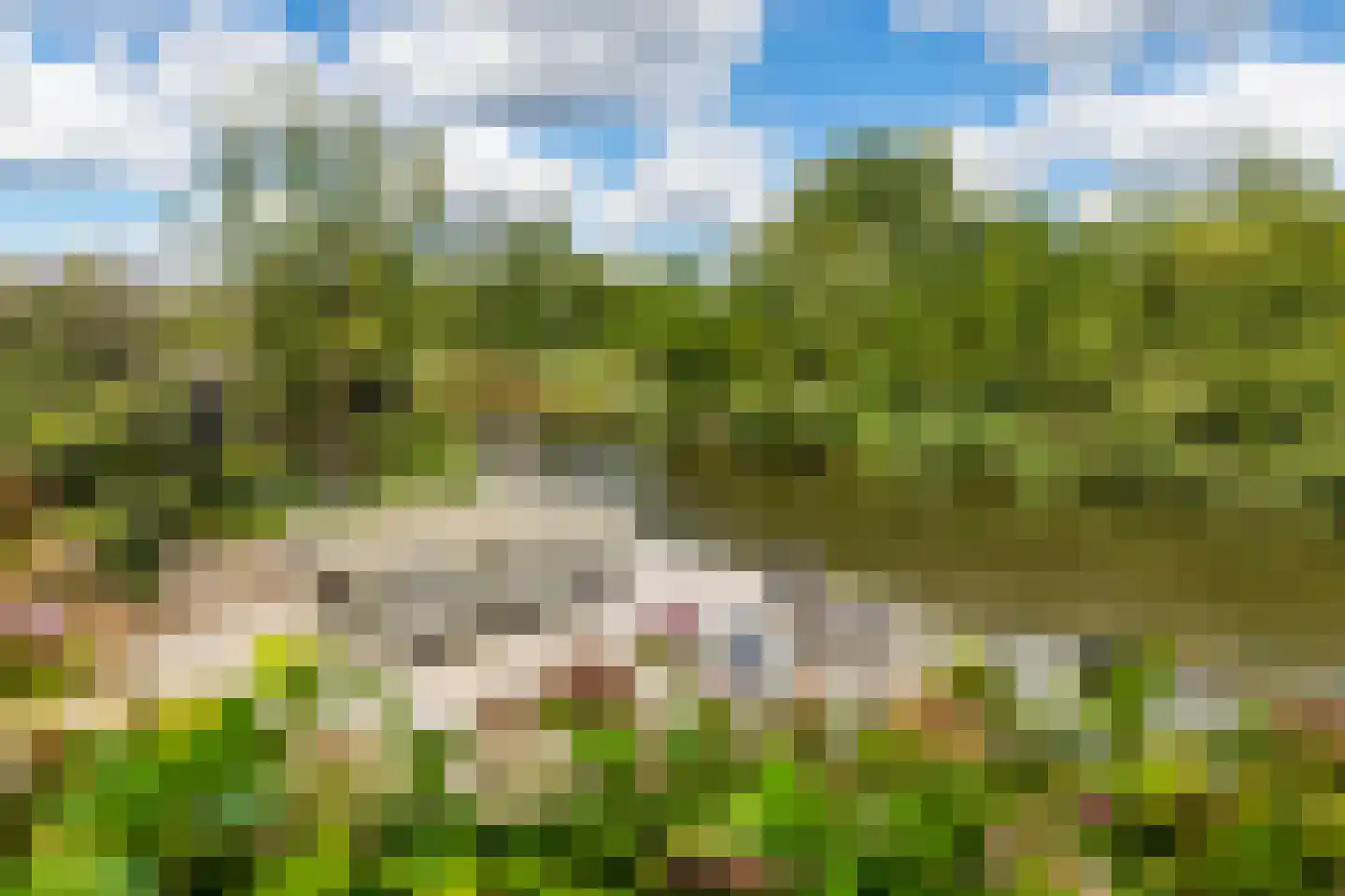 Lobbrich Boudgerslaan 37 Weesp thumbnail 7