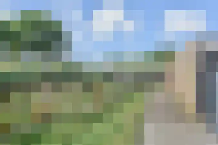 Lobelia 4 Nootdorp thumbnail 18