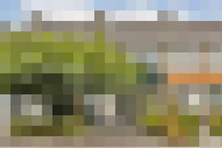 Lobelia 7 in Dordrecht