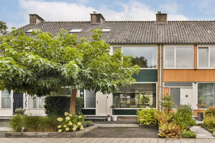 Lobelia 7 in Dordrecht