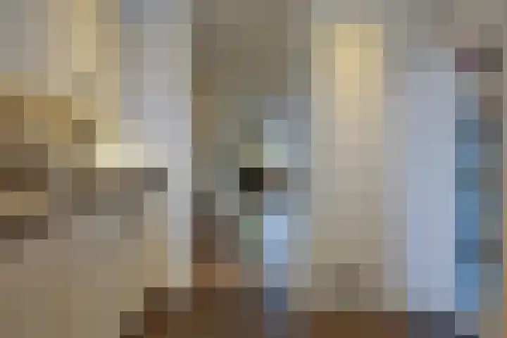 Lobeliaberg 74 Roosendaal thumbnail 13