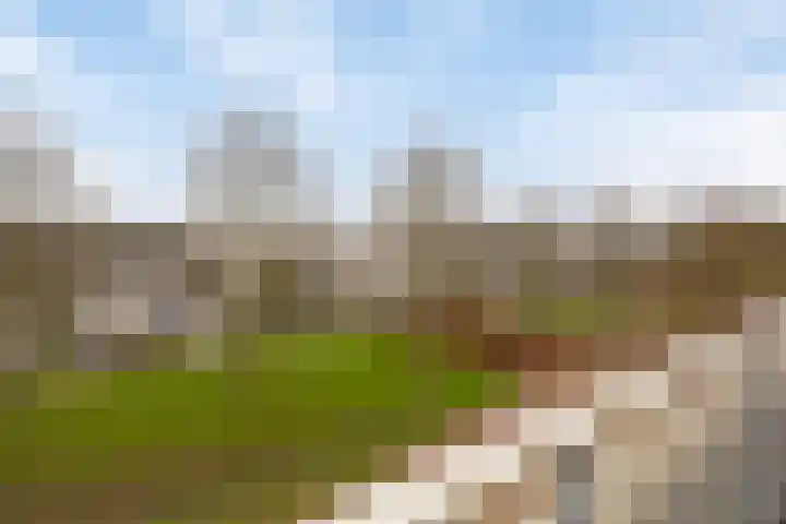 Lobeliaberg 74 Roosendaal thumbnail 31