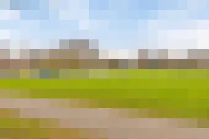 Lobeliaberg 74 Roosendaal thumbnail 37