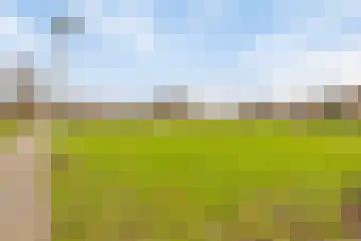 Lobeliaberg 74 Roosendaal thumbnail 38