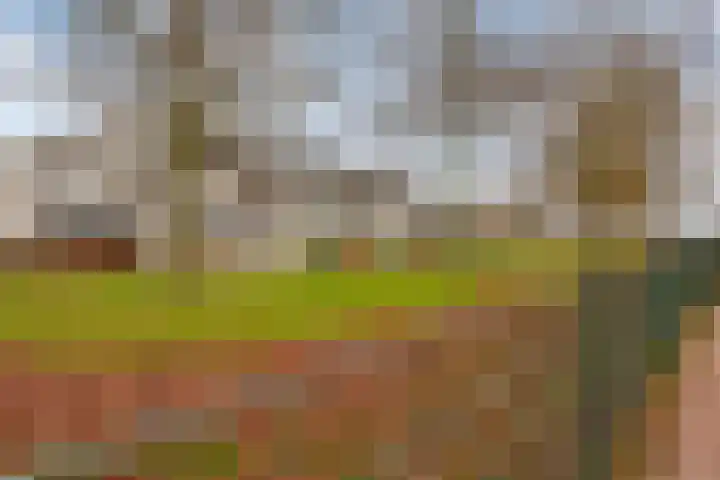 Lobeliaberg 74 Roosendaal thumbnail 40
