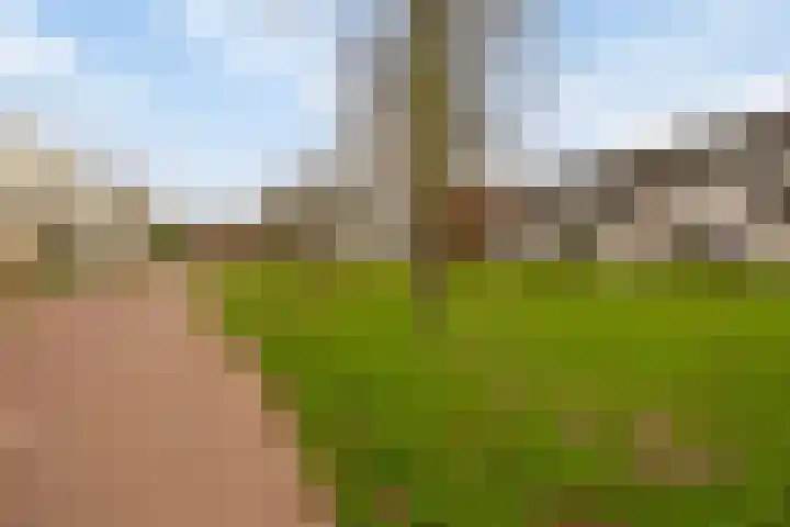 Lobeliaberg 74 Roosendaal thumbnail 41