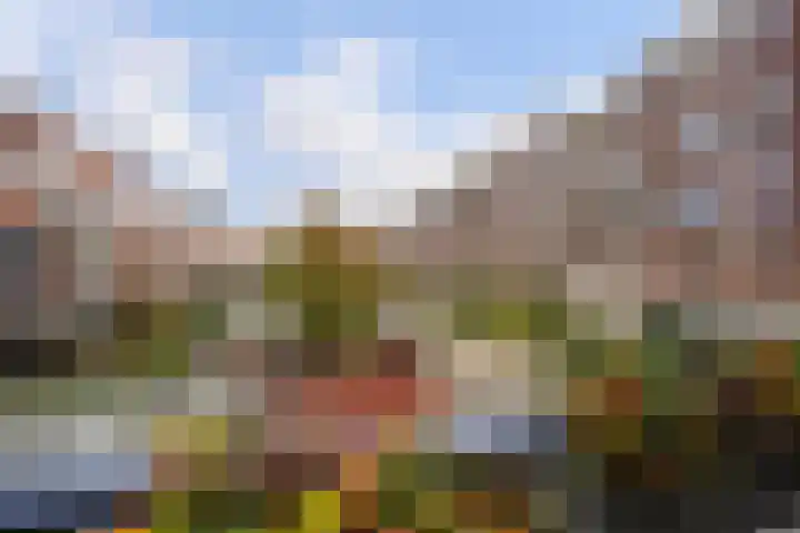 Lobelialaan 13 Den Haag thumbnail 4