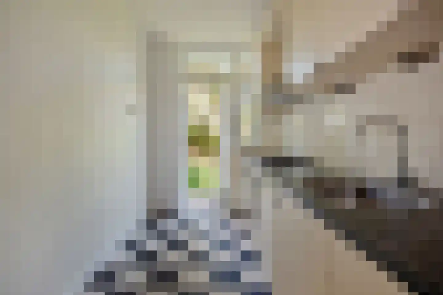 Lobelialaan 136 Den Haag thumbnail 13