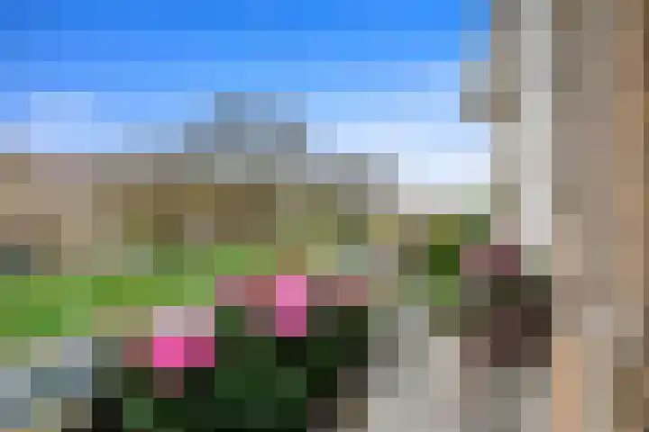 Lobelialaan 137 Den Haag thumbnail 10