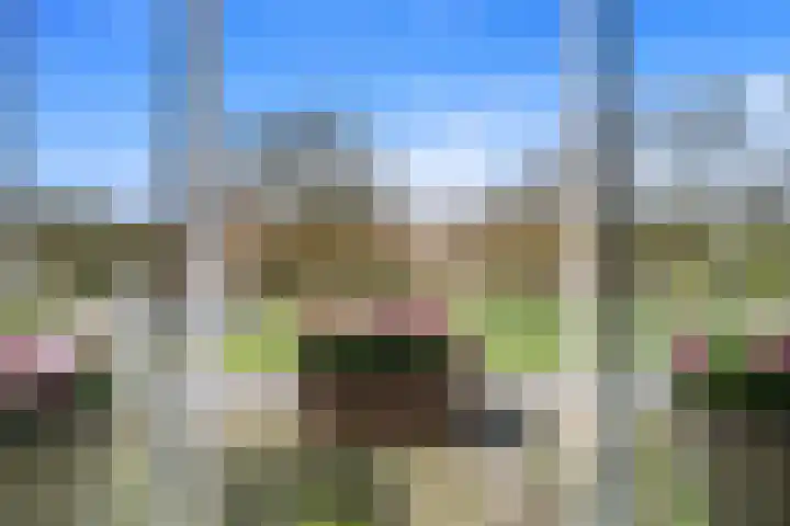 Lobelialaan 137 Den Haag thumbnail 9
