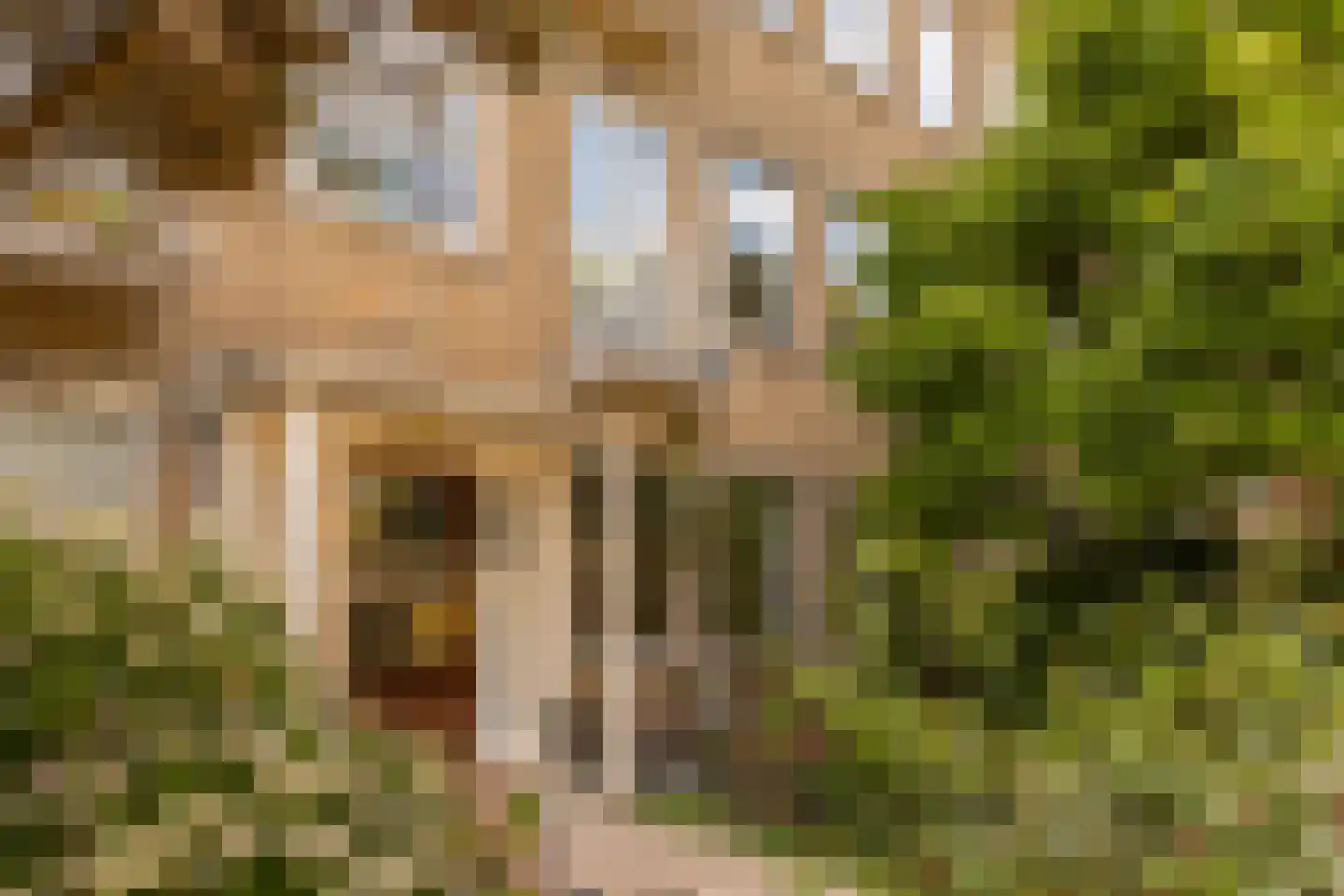 Lobelialaan 138 Den Haag thumbnail 4