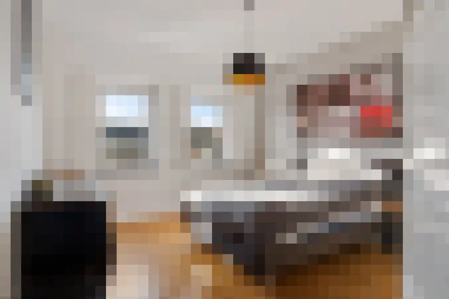 Lobelialaan 43 Den Haag thumbnail 32