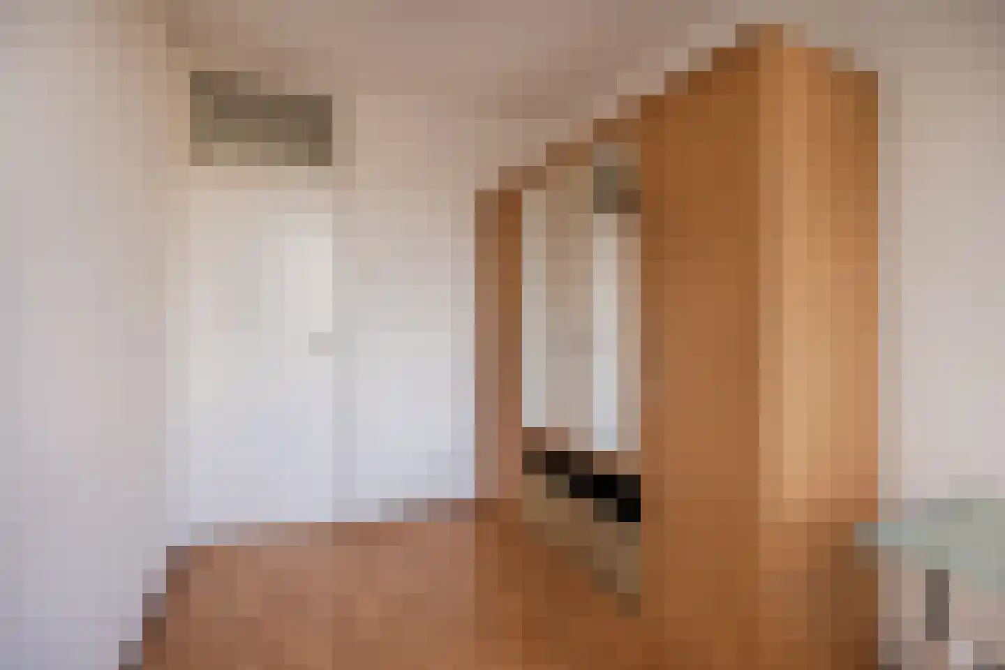 Lobeliaplein 15 A Spijkenisse thumbnail 15