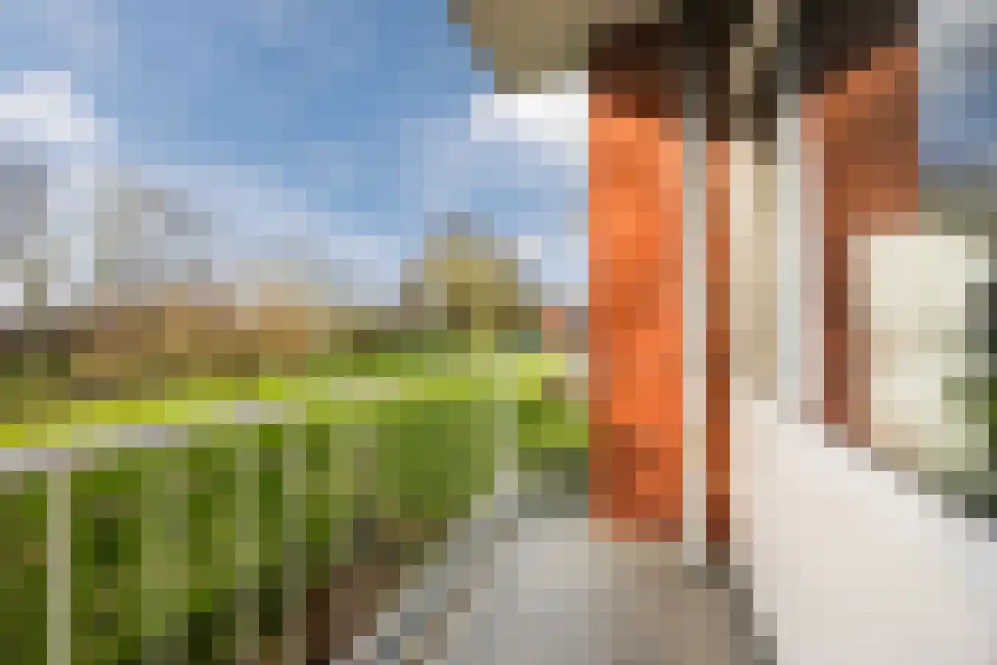 Lobeliaplein 15 A Spijkenisse thumbnail 18