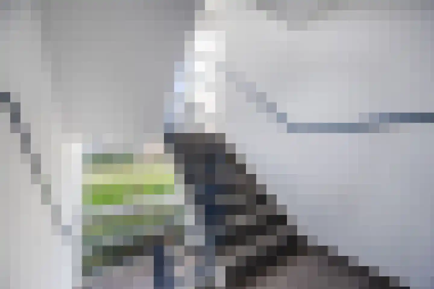 Lobeliaplein 15 A Spijkenisse thumbnail 21