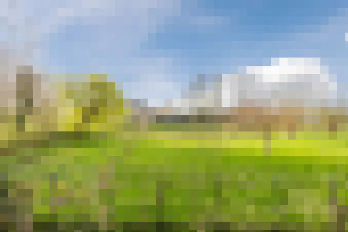 Lobeliaplein 15 A Spijkenisse thumbnail 26