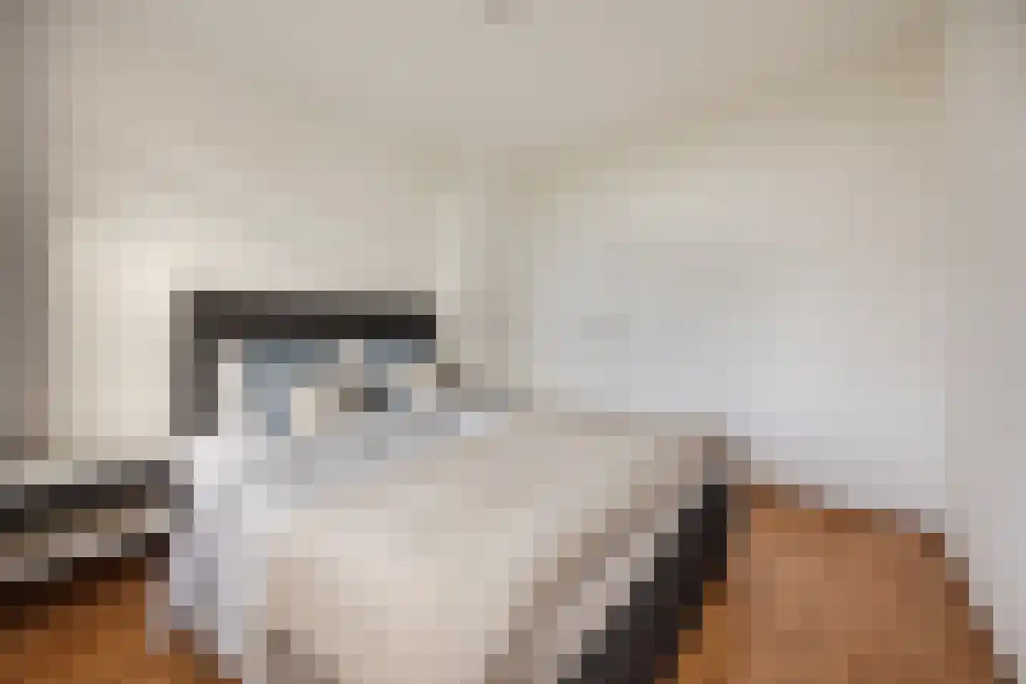 Lobeliaplein 15 A Spijkenisse thumbnail 4