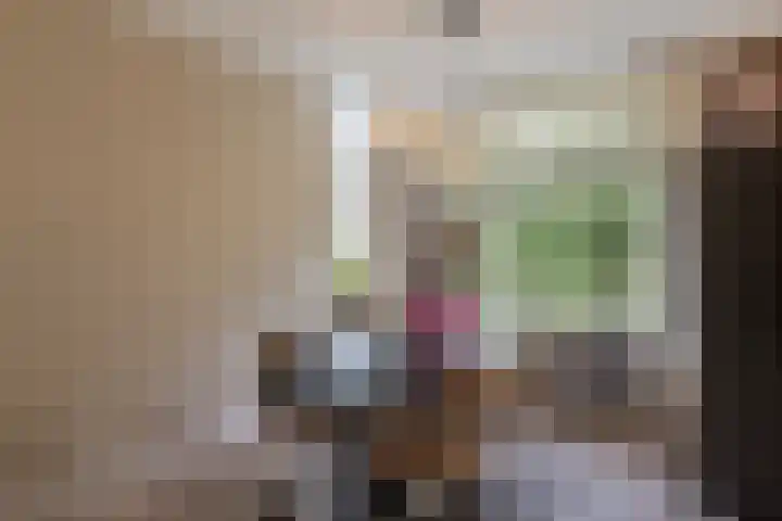 Lobeliaplein 3 A Spijkenisse thumbnail 10