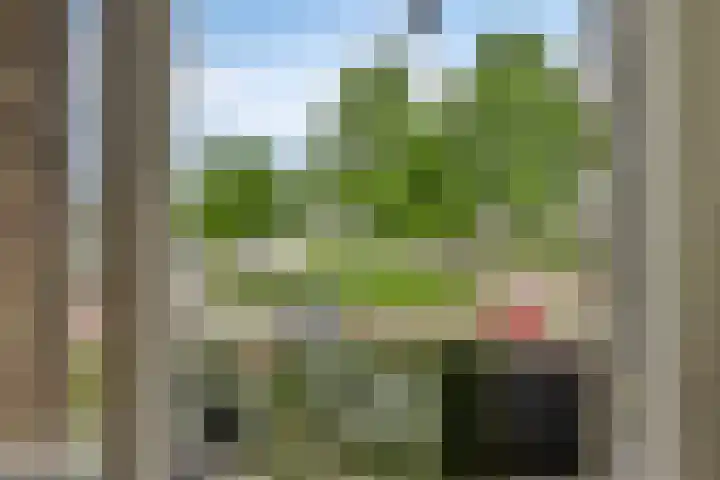 Lobeliaplein 3 A Spijkenisse thumbnail 16
