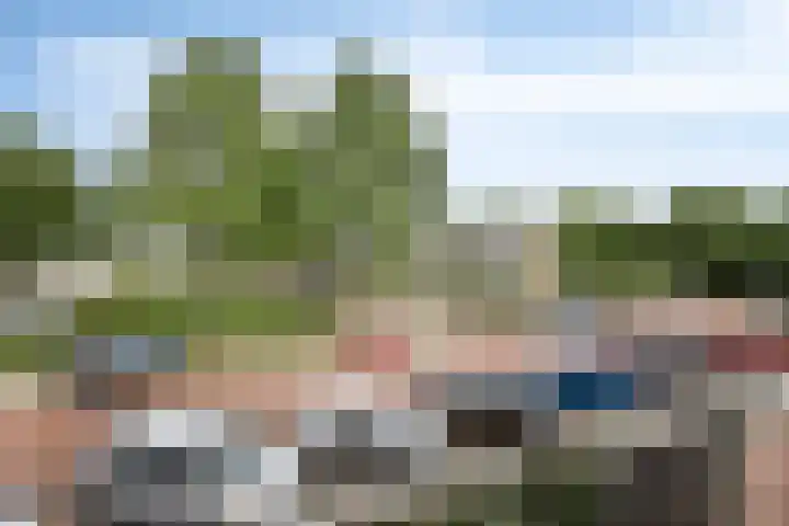Lobeliaplein 3 A Spijkenisse thumbnail 17
