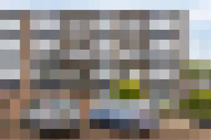 Lobeliaplein 3 A Spijkenisse thumbnail 27